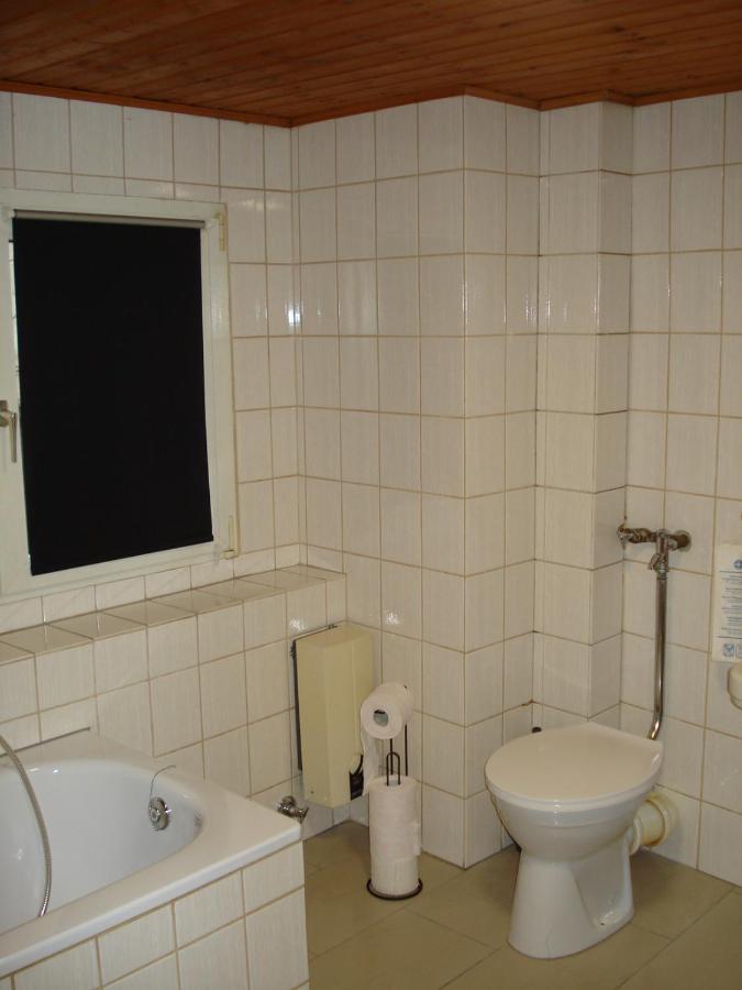 Appartement 25 Qm Mit Bad An Der Mosel - Naehe Koblenz Диблих Экстерьер фото